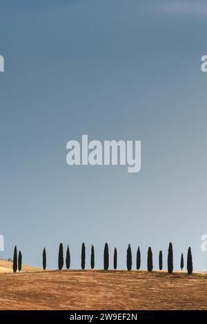 Minimalistische Landschaft mit einer Reihe von toskanischen Zypressen in der malerischen Landschaft der ländlichen Toskana, Italien. Stockfoto