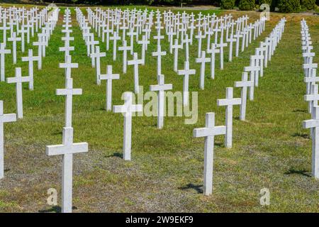 Gedenkfriedhof für die Opfer des Heimatkrieges in Vukovar - Kroatien (Memorijalno groblje žrtava iz Domovinskog rata u Vukovaru Stockfoto