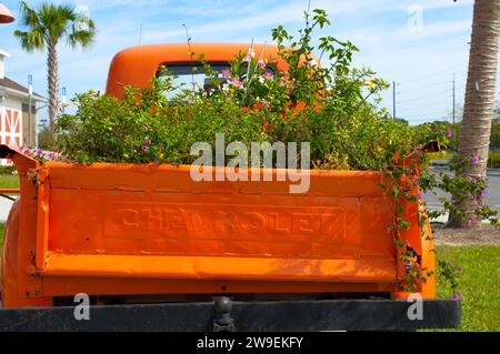 Ocala, Florida 26. November 2023 alter Chevrolet Pickup, einzigartiger oranger Oldtimer mit verschiedenen Wildblumen in verschiedenen Farben im hinteren Bett, blaue SK Stockfoto