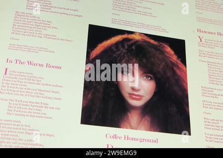 Viersen, Deutschland - 9. Mai. 2023: Nahaufnahme der britischen Sängerin Kate Bush Schallplattenhülle Lionheart aus dem Jahr 1978 mit Songtexten Stockfoto