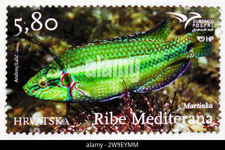 MOSKAU, RUSSLAND - 17. DEZEMBER 2023: In Kroatien gedruckte Briefmarke zeigt Ocellated Wrasse (Symphodus ocellatus), Serie Euromed, um 2016 Stockfoto