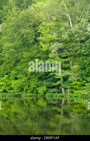 Unteren Teich, AW Stanley Park, New Britain, Connecticut Stockfoto