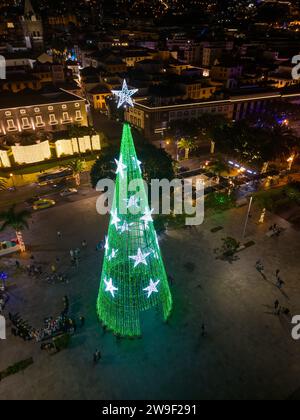 Ein Baum mit Silhouette steht auf einem Gebäude, während ein Stern am Nachthimmel funkelt: Madeira, Funchal an Weihnachten in der Nacht Stockfoto