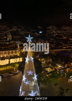 Ein Baum mit Silhouette steht auf einem Gebäude, während ein Stern am Nachthimmel funkelt: Madeira, Funchal an Weihnachten in der Nacht Stockfoto