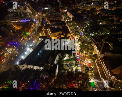 Ein Baum mit Silhouette steht auf einem Gebäude, während ein Stern am Nachthimmel funkelt: Madeira, Funchal an Weihnachten in der Nacht Stockfoto