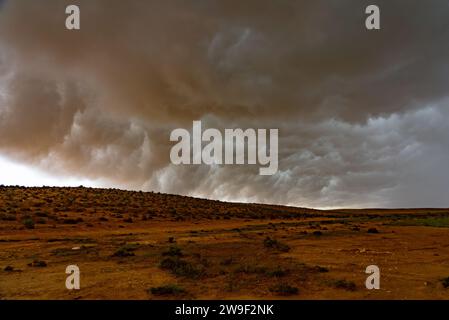 Sandsturm in der Wüste Stockfoto