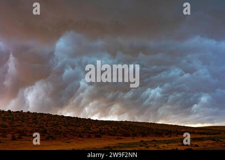 Sandsturm in der Wüste Stockfoto