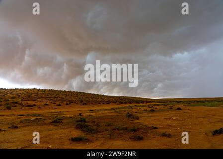 Sandsturm in der Wüste Stockfoto