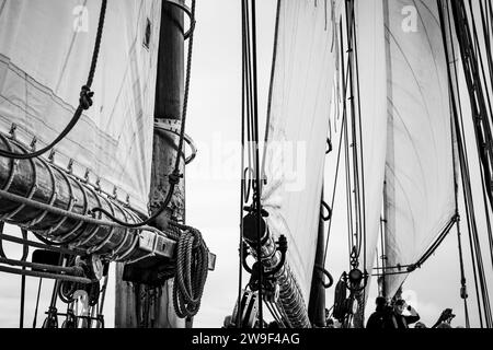 Segeln an Bord des Replikats Grand Banks Angelschoner Bluenose II, der aus Lunenburg, NS, ausgeht. Stockfoto