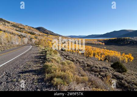 Mit Blick auf den Fish Lake 'Pando Clone', auch bekannt als zitternde Riesen, Morgenlicht, Fish Lake National Forest. Stockfoto