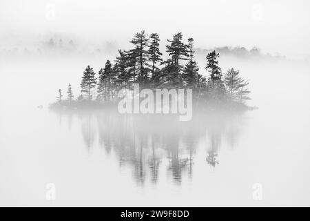 Die Insel spiegelt sich auf einem flachen, ruhigen See an einem nebeligen Tag an der Ostküste von Nova Scotia, Kanada. Stockfoto