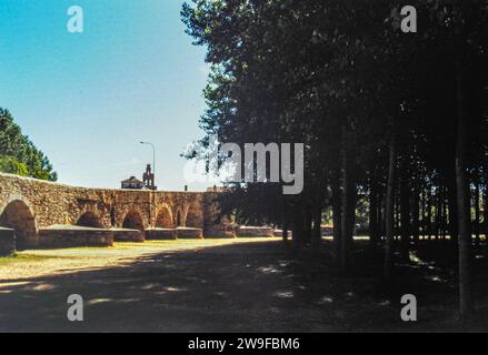 Hospital de Órbigo, Leon, Spanien. Puente del Paso Honoroso. Brückenbogen. 13. Jahrhundert. Stockfoto