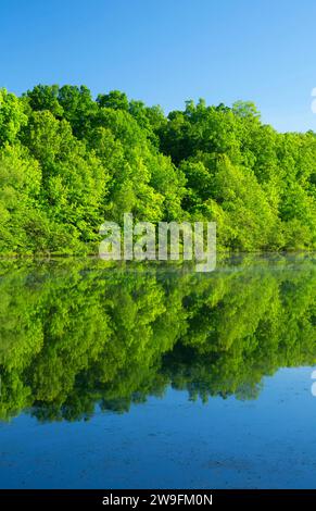 Unteren Teich, AW Stanley Park, New Britain, Connecticut Stockfoto