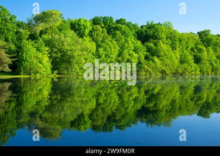 Unteren Teich, AW Stanley Park, New Britain, Connecticut Stockfoto