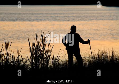 Batterson Park Teich Sonnenaufgang mit Rohrkolben, Batterson Park Teich Zustand Boot starten, New Britain, Connecticut Stockfoto