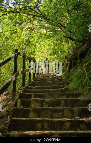 Aufstieg inmitten der Natur: Vertikale Aufnahme der Treppe im Dschungel, Frau aufsteigend, umgeben von üppigem Grün Stockfoto