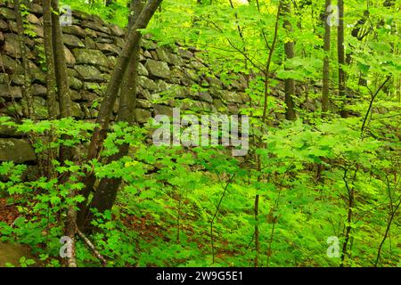 Außenwand, Alte New-Gate Gefängnis & Kupfer Mine archäologische Bewahren, Connecticut Stockfoto