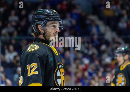 Rochester, New York, USA. Dezember 2023. Providence Bruins stürzte Jayson Megna (12) Skates in der zweiten Periode gegen die Rochester Americans. Die Rochester Americans veranstalteten die Providence Bruins in einem Spiel der American Hockey League in der Blue Cross Arena in Rochester, New York. (Jonathan Tenca/CSM). Quelle: csm/Alamy Live News Stockfoto