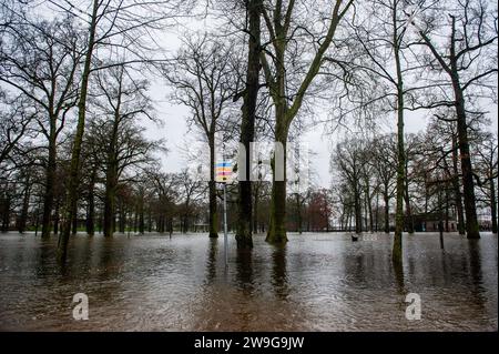 Deventer, Niederlande. Dezember 2023. Ein Blick auf eine Baumgruppe in einem überfluteten Gebiet. Aufgrund des steigenden Wassers in der IJssel stellt die Gemeinde Deventer Sandsäcke an den Kai, um die Altstadt zu schützen. Der starke Regen, der in den letzten Monaten gefallen ist, kombiniert mit der Tatsache, dass die Alpen für diese Jahreszeit ungewöhnlich warm sind, hat die IJssel in Overijssel, Gelderland, Drenthe, Brabant und Limburg überschwemmt. (Foto: Ana Fernandez/SOPA Images/SIPA USA) Credit: SIPA USA/Alamy Live News Stockfoto