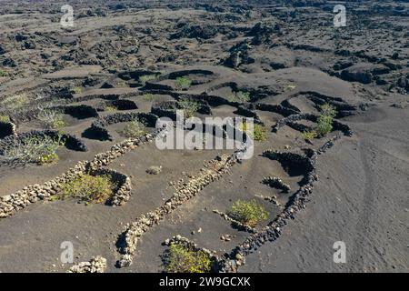 Aus der Vogelperspektive des Weinbauviertels La geria. Traditioneller Weinanbau in einem Lavafeld in der Nähe des Timanfaya-Nationalparks. Lanzarote, Spanien, Eur Stockfoto