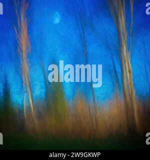 ABSTRAKTE KUNST: 'Lost in the Forest' von Edmund Nagele FRPS Stockfoto