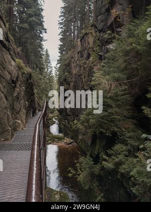 Zackelfall in Polen Krkonose Stockfoto