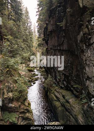 Zackelfall in Polen Krkonose Stockfoto