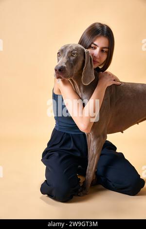 Porträt einer jungen attraktiven Frau, die sitzt und ihr hübsches süßes Haustier umarmt, reinrassiger Weimaraner vor beigem Studiohintergrund. Stockfoto