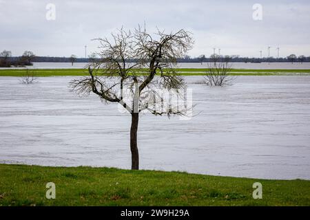 Drakenburg, Deutschland. Dezember 2023. Die Weserfluten im Landkreis Nienburg/Weser. Kredit: Moritz Frankenberg/dpa/Alamy Live News Stockfoto