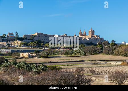 Nachhaltigkeit Gärtner der Xara Lodge in Rabat, Malta Stockfoto