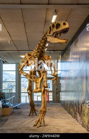 Ein Skelettabdruck eines Allosaurus fragilis in der Quarry Exhibit Hall am Dinosaur National Monument in Utah. Stockfoto