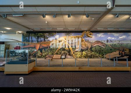 Ein Skelettabdruck eines Allosaurus fragilis in der Quarry Exhibit Hall am Dinosaur National Monument in Utah. Stockfoto