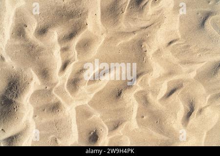 Wasserstellen auf der Sandbank im Richmond River bei Ebbe, Ballina, New South Wales, Australien Stockfoto