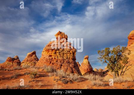 Erodierte Navajo-Sandsteinformationen in South Coyote Buttes, Vermilion Cliffs National Monument, Arizona. Stockfoto