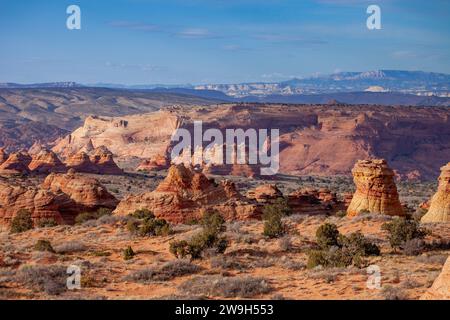 Erodierte Navajo-Sandsteinformationen in South Coyote Buttes, Vermilion Cliffs National Monument, Arizona. Die North Teepees sind hinten in der Mitte. Stockfoto