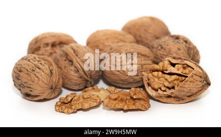 Nahaufnahme einer Gruppe Walnüsse. Eine Mutter ist gerissen. Die anderen Nüsse sind in der Schale. Der Hintergrund ist weiß. Stockfoto