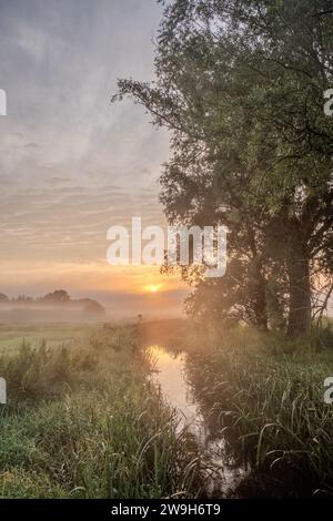 Das Bild ist eine heitere Darstellung der frühen Morgensonne, die ein warmes Leuchten über einen ruhigen Bach wirft. Der Nebel umhüllt die umliegenden Wiesen und schafft eine ätherische Qualität, wenn die Sonne des neuen Tages durchdringt. Überhängende Bäume umrahmen die Szene, ihr Laub wird von hinten durch den Sonnenaufgang beleuchtet, während das Wasser ruhig das sanfte Licht des morgens reflektiert. Die Komposition erinnert an die Ruhe einer Landschaft im Morgengrauen, wo die Zeit langsamer wird und der Tag mit einem sanften Flüstern beginnt. Morning Light: Nebelmorgen am Creek. Hochwertige Fotos Stockfoto