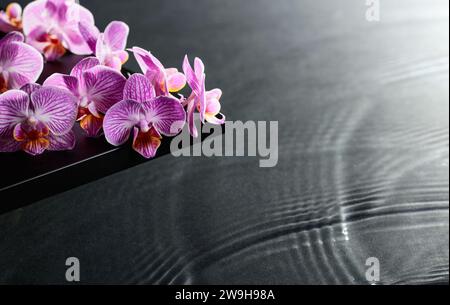 Wunderschöne violette Orchideenblüten auf einer Tafel. Im Hintergrund plätschert Wasser. Konzeptbanner für Spa- und kosmetische Körperpflegeprodukte. Stockfoto