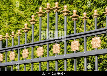 Schöne dekorative Gussmetall schmiedeten Zaun mit künstlerischen Schmieden. Eisengeländer aus nächster Nähe. Stockfoto