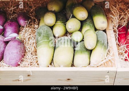 Bunte Rüben auf einem Bio-Bauernmarkt Stockfoto