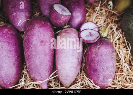Bunte Rüben auf einem Bio-Bauernmarkt Stockfoto