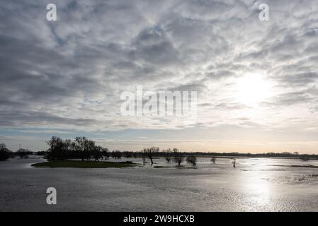 Wittenberge, Deutschland. Dezember 2023. Die Wiesen und Felder entlang der Elbe sind überflutet. Der Elbspiegel in Wittenberge lag am frühen Nachmittag bei 4,95 Metern. Quelle: Stephan Schulz/dpa-Zentralbild/dpa/Alamy Live News Stockfoto