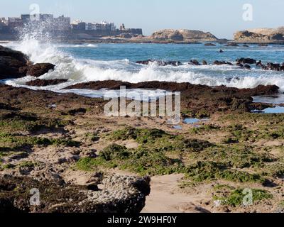 Wellen krachen an der felsigen Küste mit der Medina dahinter in Essaouira, Marokko. Dezember 2023 Stockfoto