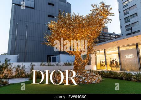 TOKIO/JAPAN - 21. November 2023: Leuchtender Schriftzug der Marke Dior und goldener Weihnachtsbaum Stockfoto