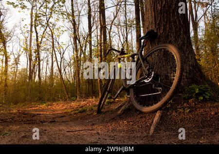 Mountainbike im Wald. Schotterfahrrad steht bei Sonnenuntergang an einem Baum auf einem Waldweg. Aktives Lifestyle-Konzept. Stockfoto