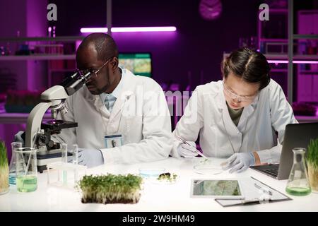 Schwarzer Wissenschaftler, der mit Mikroskop arbeitet, während sein asiatischer Kollege Pflanzensprossen untersucht Stockfoto