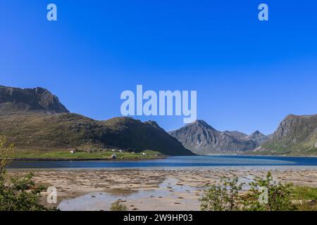 Ruhige Bucht von Flakstadpollen unter einem klaren blauen Himmel in Lofoten, Norwegen, mit Ebbe und strukturiertem Meeresboden, umgeben von zerklüfteten Bergen und Holmen Stockfoto