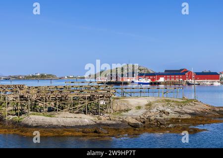 Kabeljau-Trockenregale im Hafen von reine auf Lofoten Island, mit ruhigem Meer, zerklüftetem felsigem Ufer und klassischen roten Rorbu-Häusern, alles unter einer blauen Ske Stockfoto