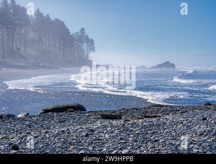 Ruby Beach, WA - USA - 21. September 2021: Horizontaler Blick auf Besucher, die den Waldrand bewundern und Wellen auf die felsige Küste von Ruby Beach bei Olympic treffen Stockfoto