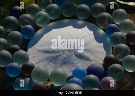 Originalkunst von mir. Weißer Sand Dollar umgeben von farbigen Meeresglasmarmor. Stockfoto